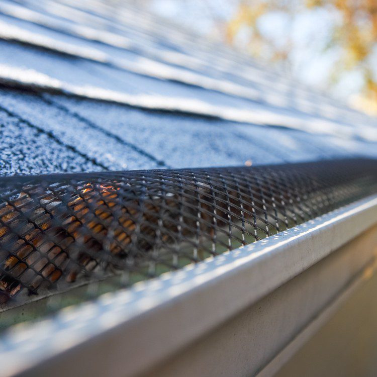 Gutter services in New Braunfels, TX