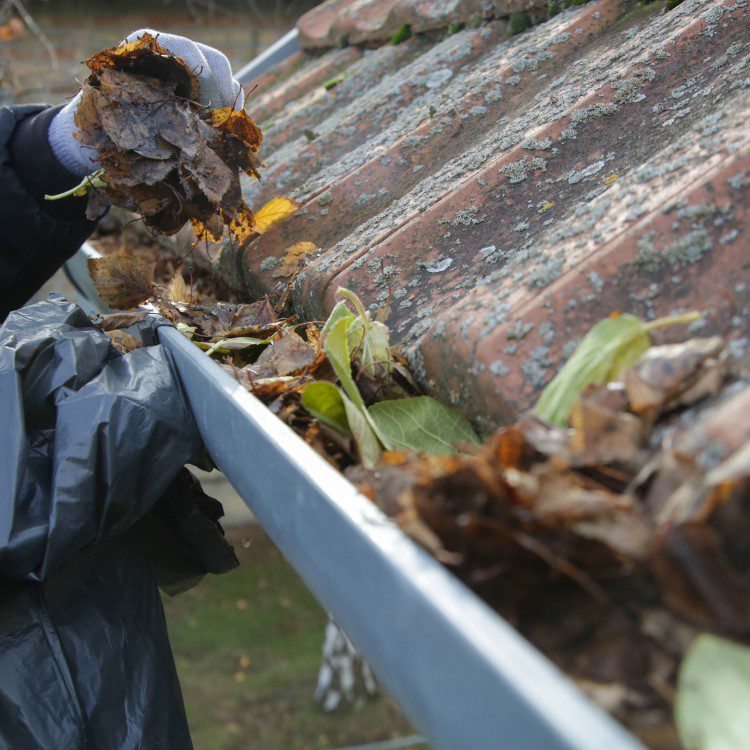 Gutter services in New Braunfels, TX