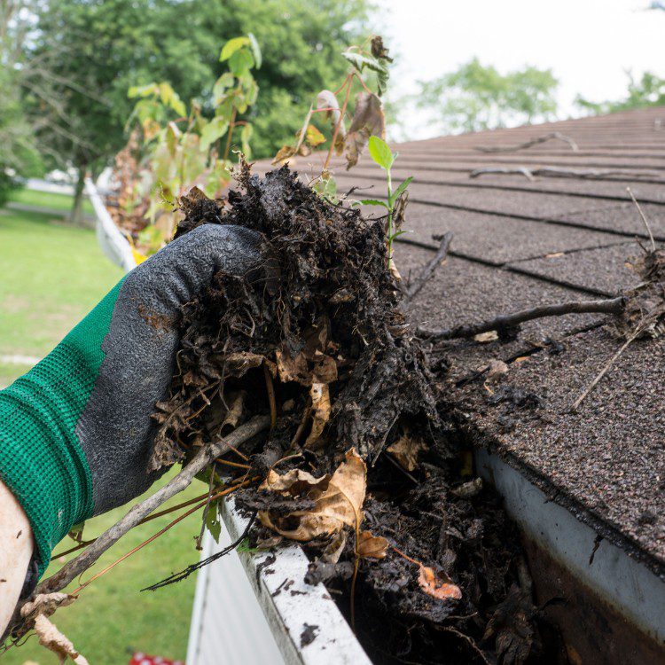 Gutter services in New Braunfels, TX