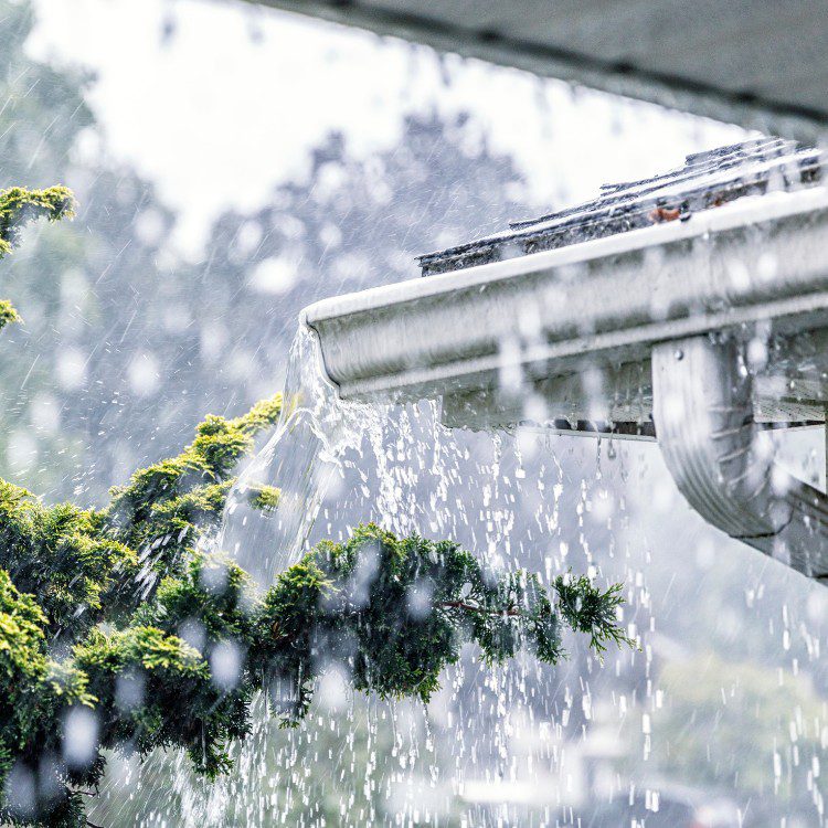 Gutter services in New Braunfels, TX