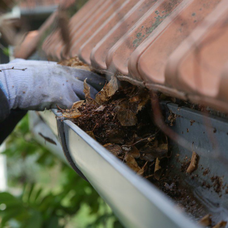 Gutter services in New Braunfels, TX